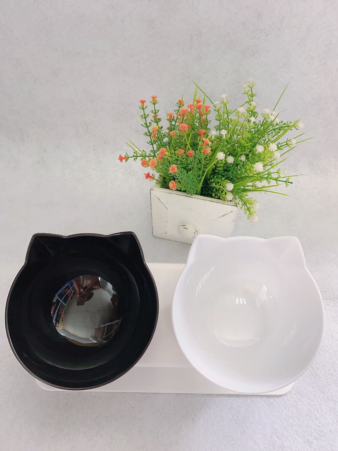 Ergonomic Double Cat Food Bowl