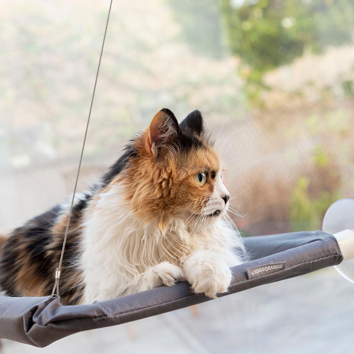 Window Cat Hammock