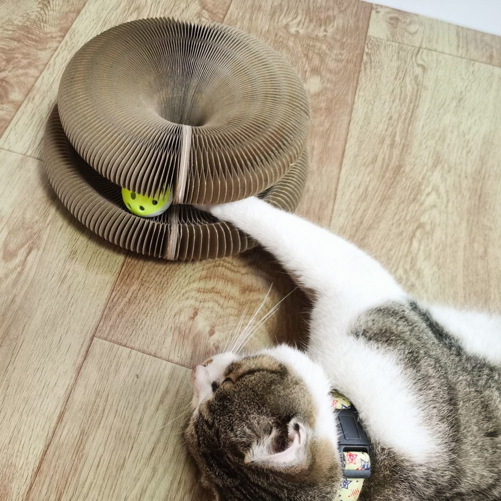 Accordion Cat Scratcher & Toy