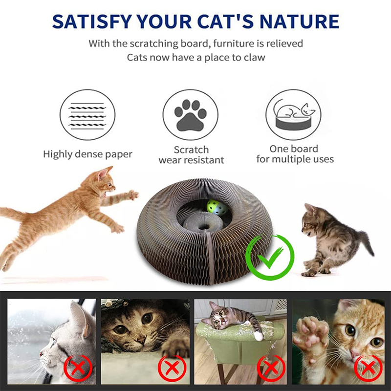 Accordion Cat Scratcher & Toy