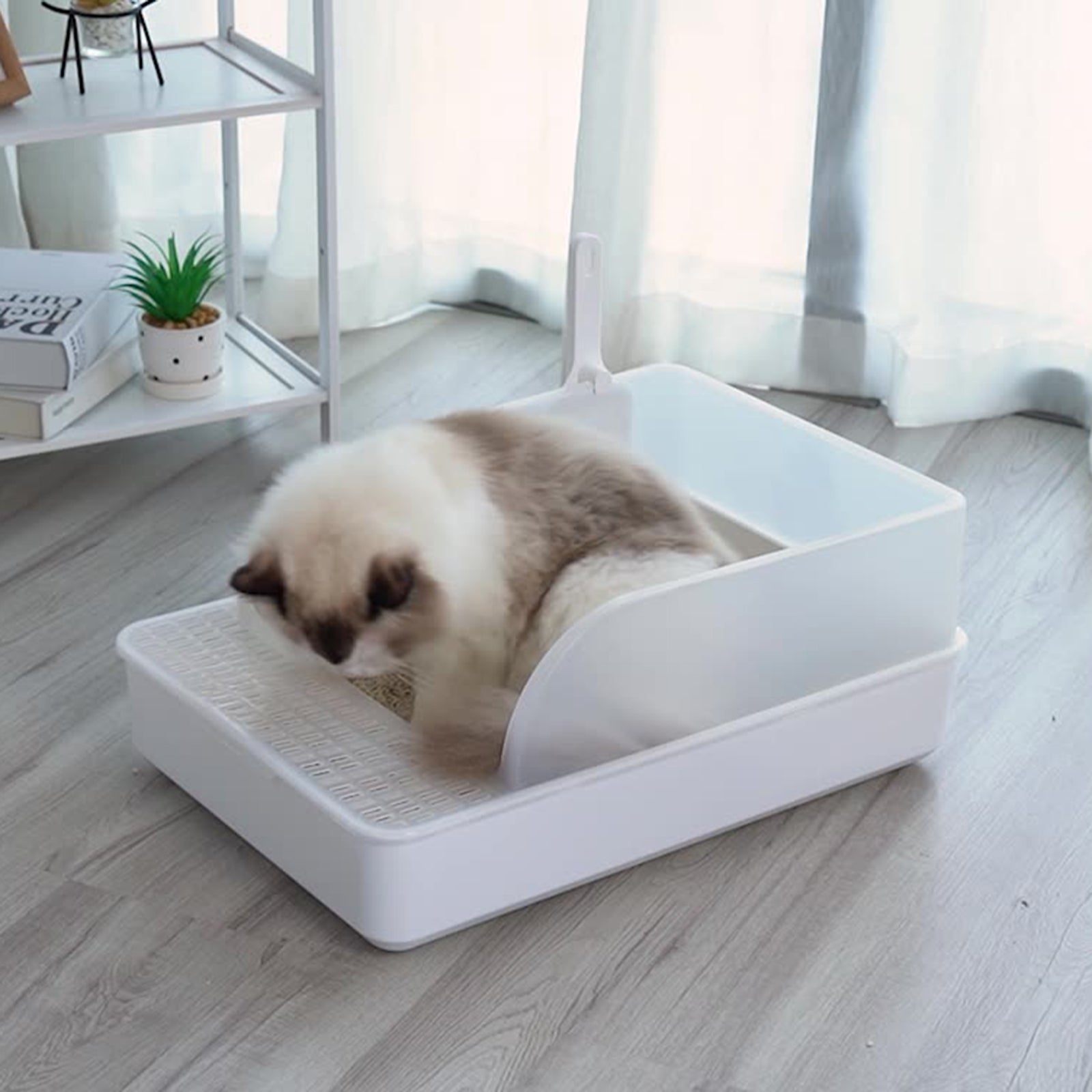 Large Open Cat Litter Box