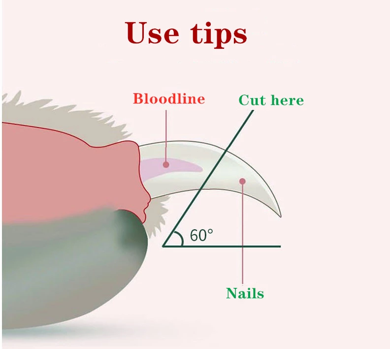 LED Cat Nail Clipper