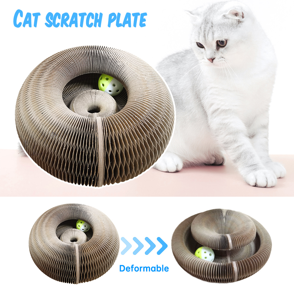 Accordion Cat Scratcher & Toy