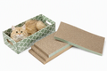 Cat Scratcher Ramp with Cozy Cat Bed