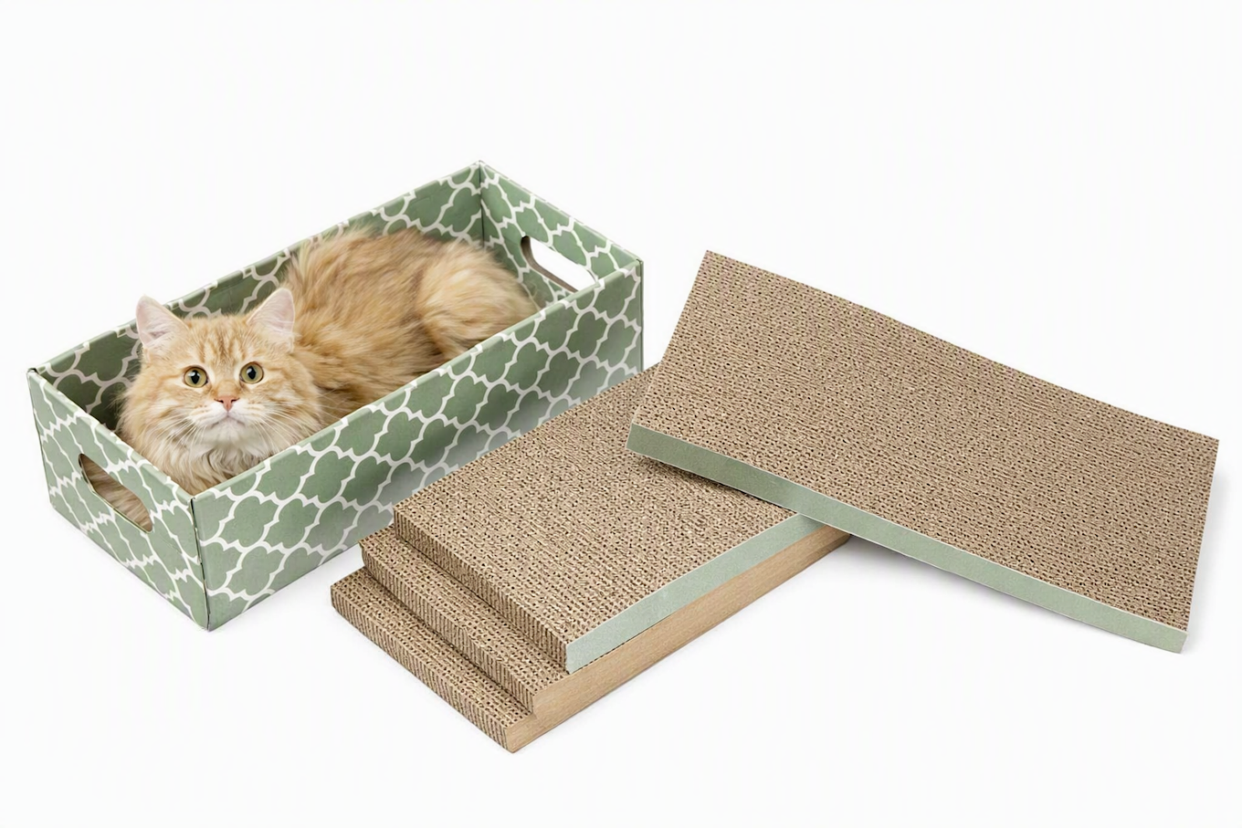 Cat Scratcher Ramp with Cozy Cat Bed