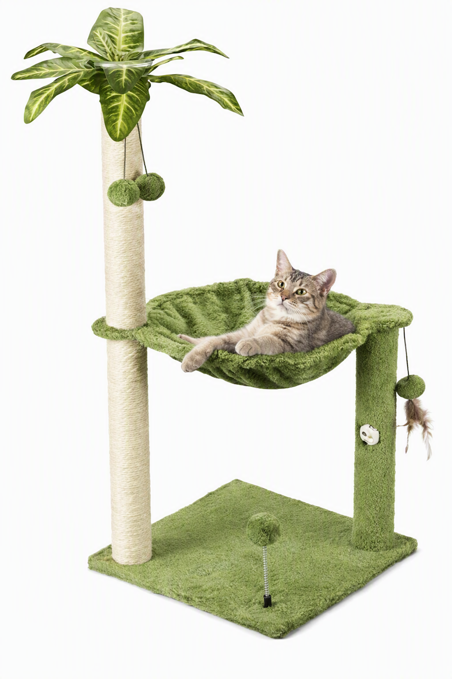 Cat Hammock Tree Island