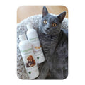 Cat shower Kit — Shampoo & Conditioner