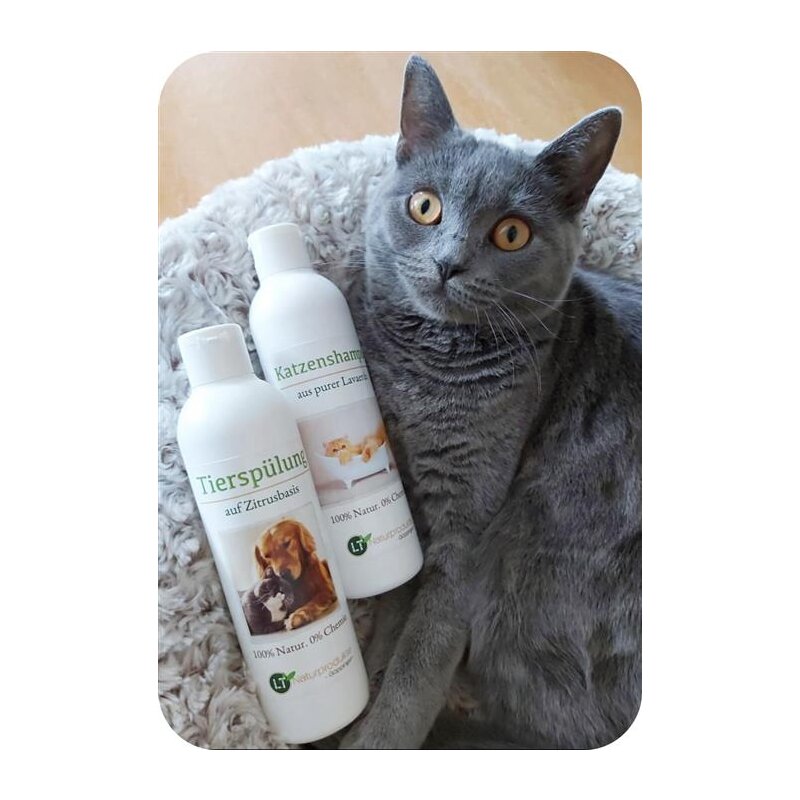 Cat shower Kit — Shampoo & Conditioner
