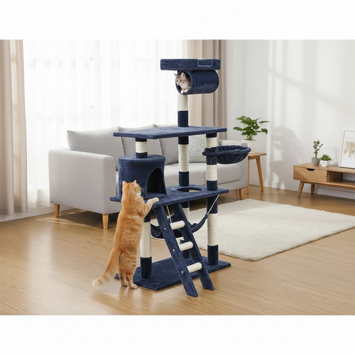 Two cats in use